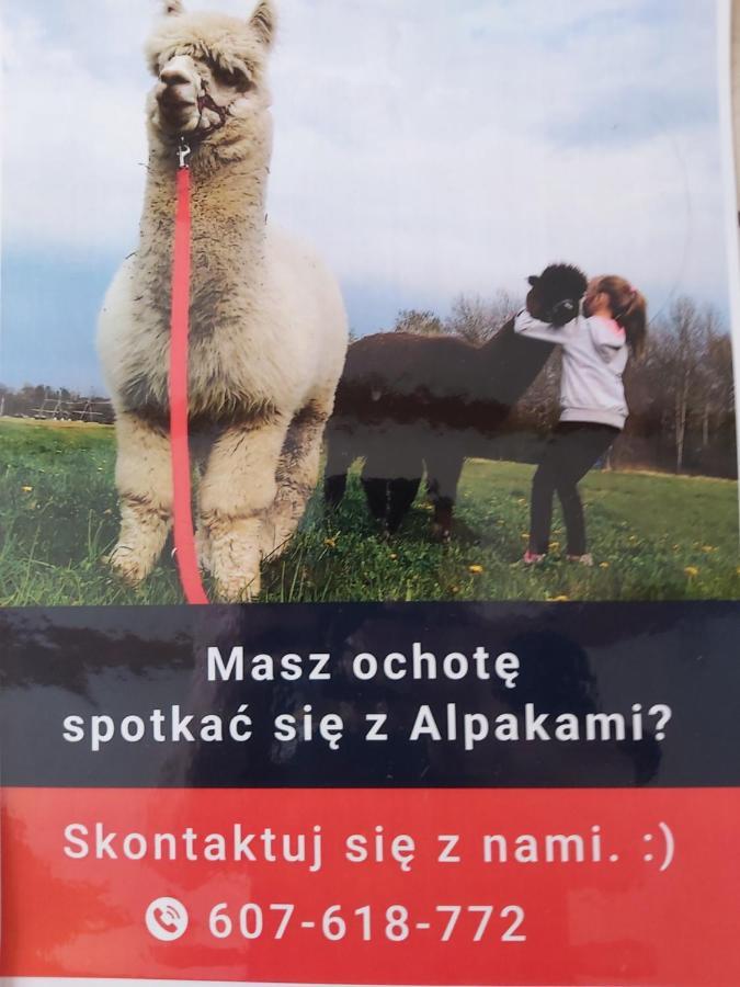 Apartamenty Smaczek Gołdap Exterior foto